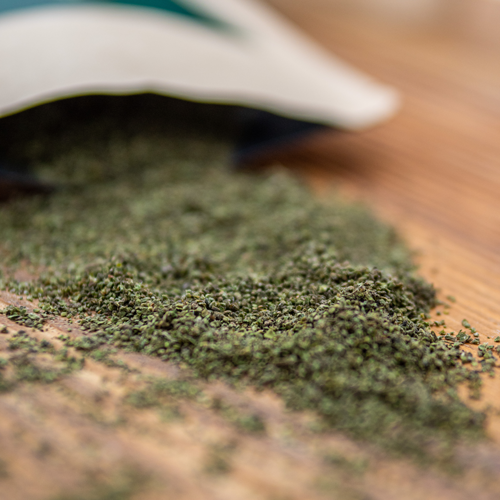 Brennnesselsamen kaufen getrocknet