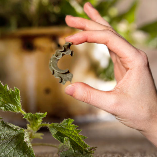 
                  
                    Bio Kraftpasta Brennnessel Nudeln handgemacht
                  
                